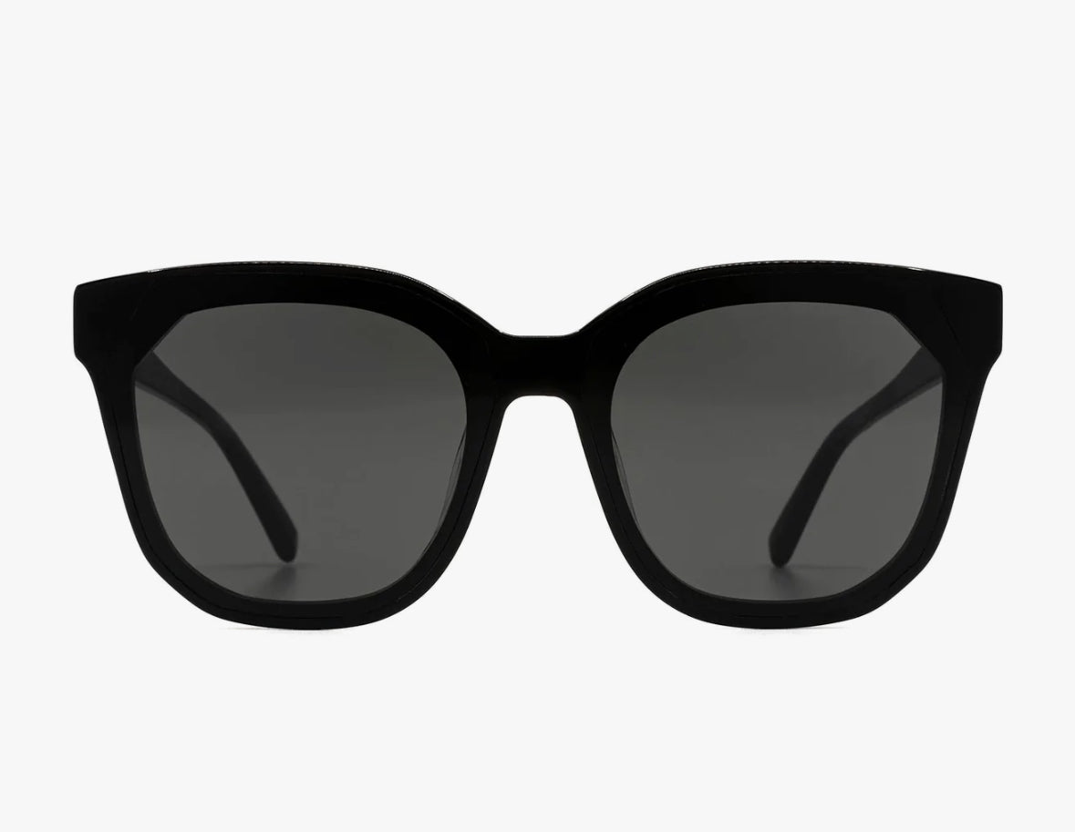 Gia Sunglasses Black & Grey diff